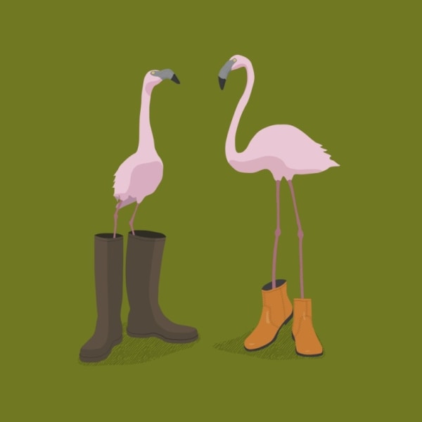 Fashion Flamingos - 30x40 cm