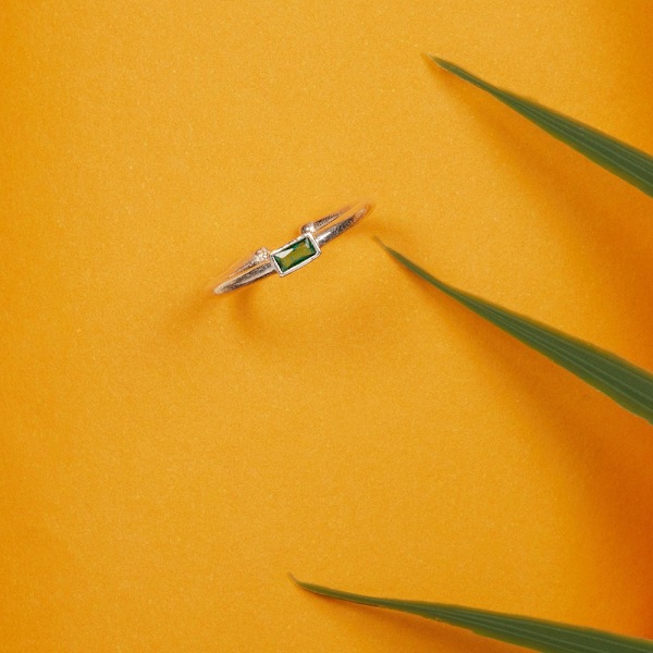 Silverring FA182820