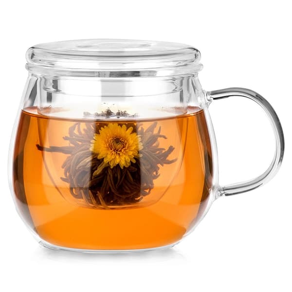 Glasmugg med teinfusionskärl och lock, 400 ml
