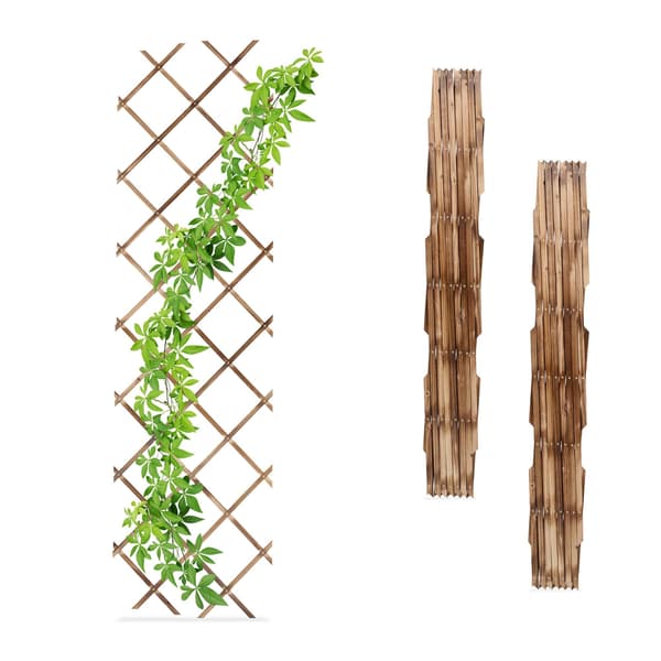 Utdragbart väggspaljer för växter, set om 3, 180x60 cm