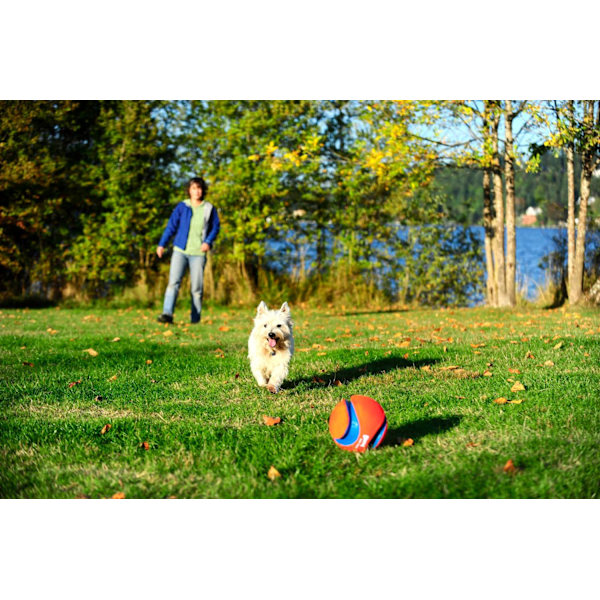 Chuckit Kick Fetch S 14 cm