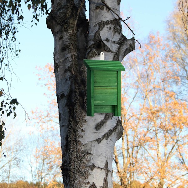 Grön fladdermuslåda i trä