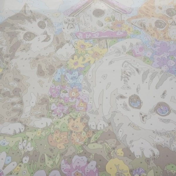 Maleri efter tal 40x50cm - Maaleo cats 22781