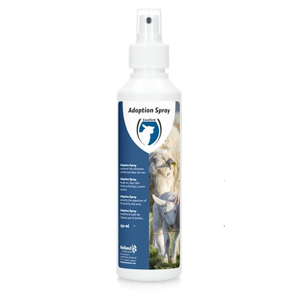 Lamb Adoption Spray