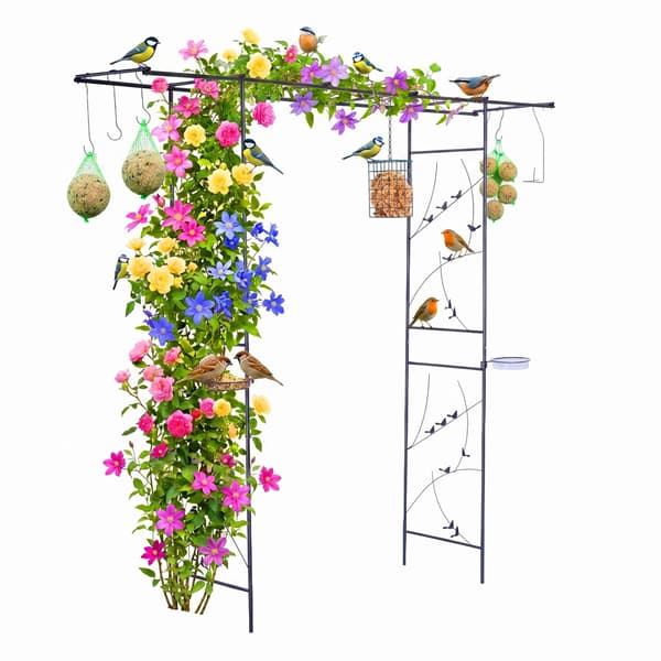 Rosenbue-espalier til haven – Fuglebad og foderstationer