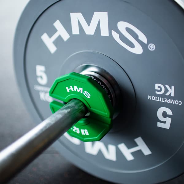 Viktplatta för styrketräning, 0,25 kg, set om 2