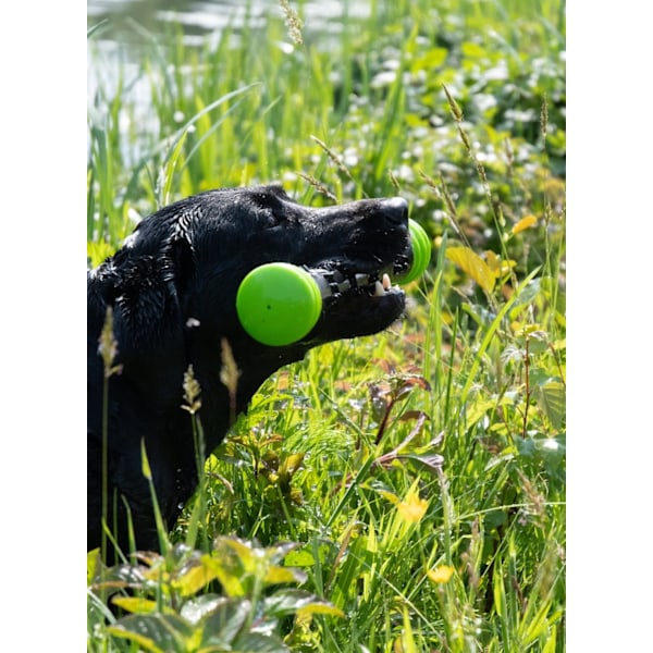 Dog Comets Meteor Throwing Stick rosa L