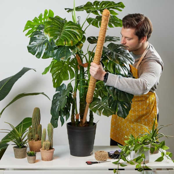 set med 10 kokosnötspinnar 90 cm