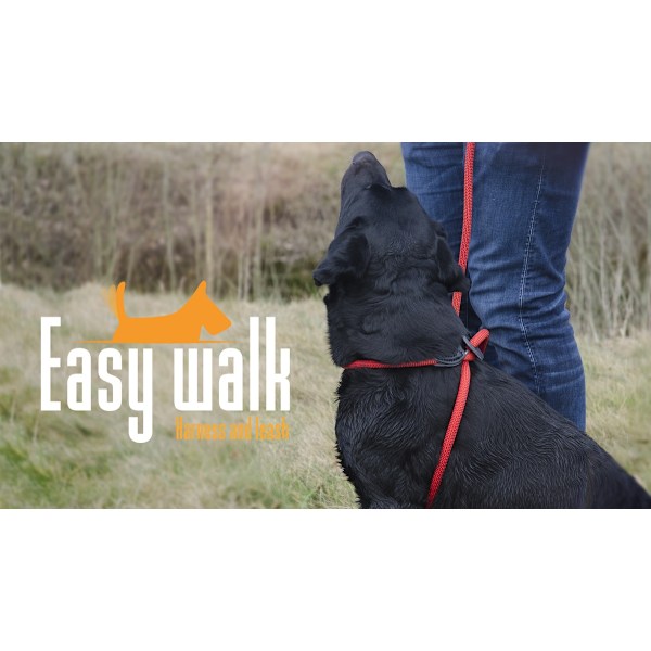 Easy Walk Handheld malli punainen