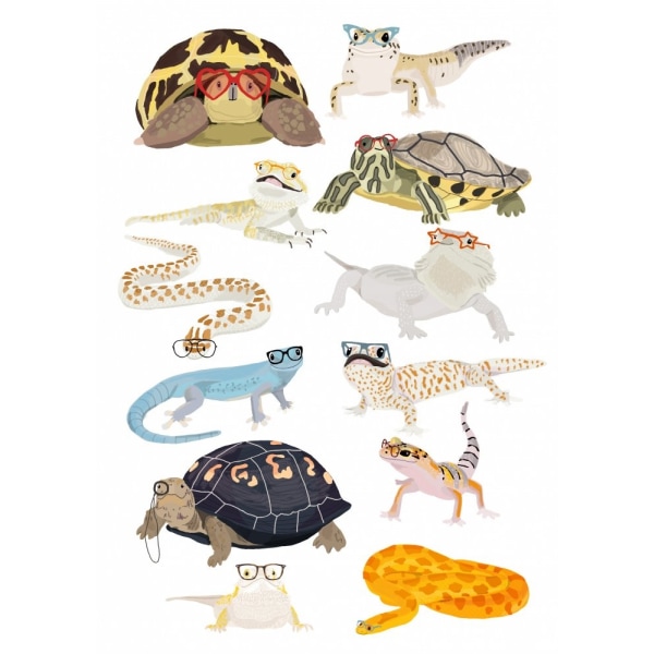 A1 Reptiles In Glasses - 30x40 cm