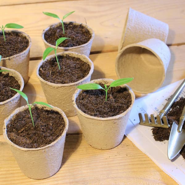 Biopots 80 kpl