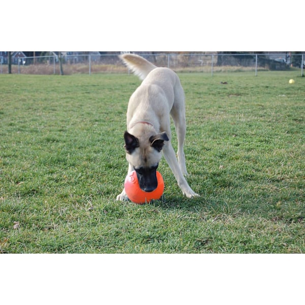 Jolly Ball Bounce-n Play 15 cm Orange (Vaniljdoft)