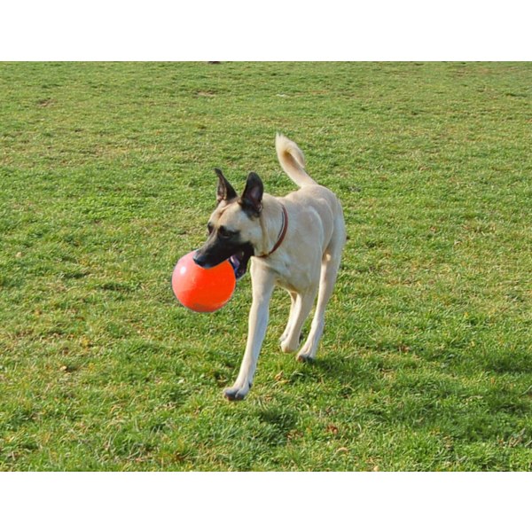Jolly Ball Bounce-n Play 15 cm Orange (Vaniljdoft)