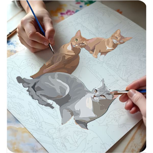 Målning efter siffror 40x50 cm Massido Cats