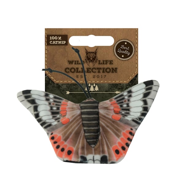 Wild Life Cat Rød Admiral Butterfly