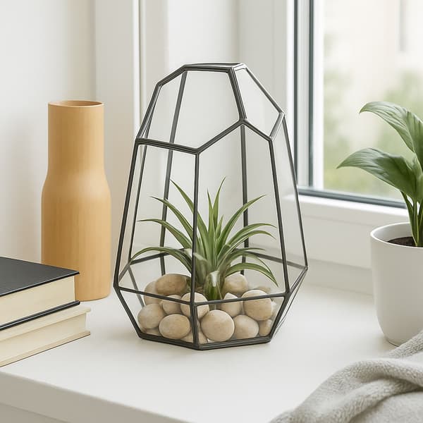 Geometrisk glasterrarium til sukkulenter, 25 cm