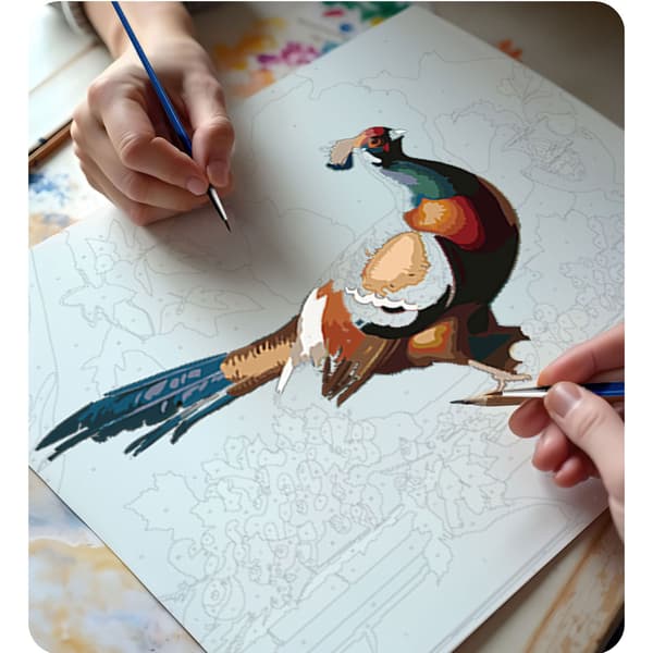 Maalaus numeroilla 40x50 cm Massido Pheasant