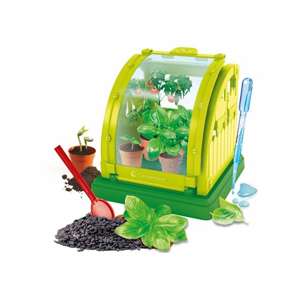 Mini växthus