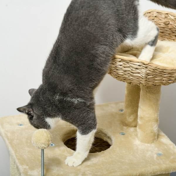Liten kattskrapstolpe, 74 cm kattträd med kattgrotta, lekboll, klättertorn inomhus med säng, klösmöbler för katter upp till 5 kg, beige