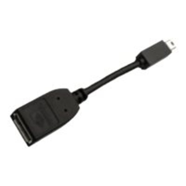 PNY - DisplayPort-adapter - Mini DisplayPort till DisplayPort - svart