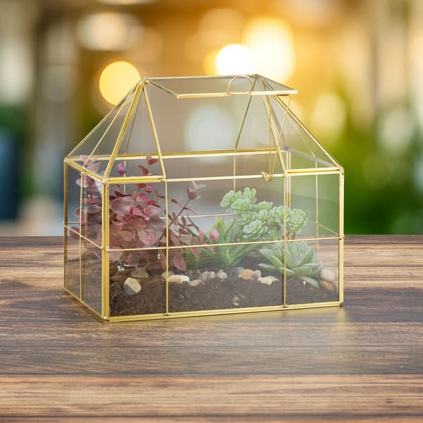 Glashusformet terrarium til indendørs planter