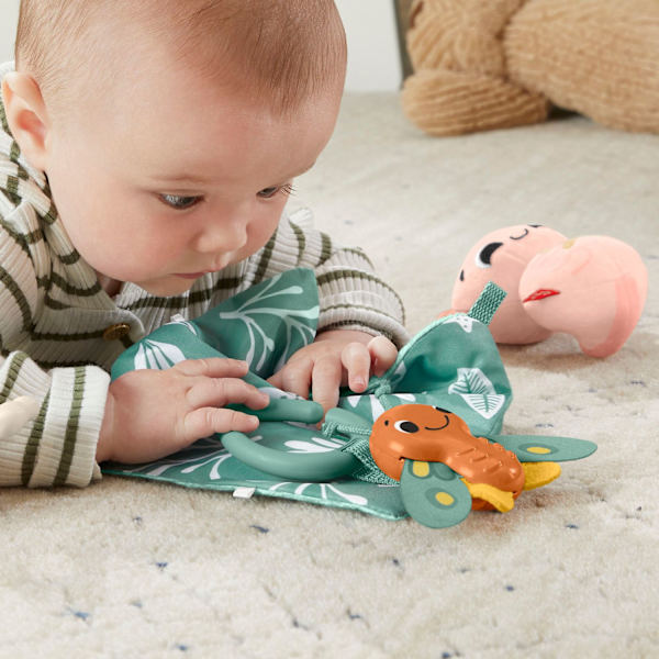 Fisher-Price Sensimals -Lahjapakkaus