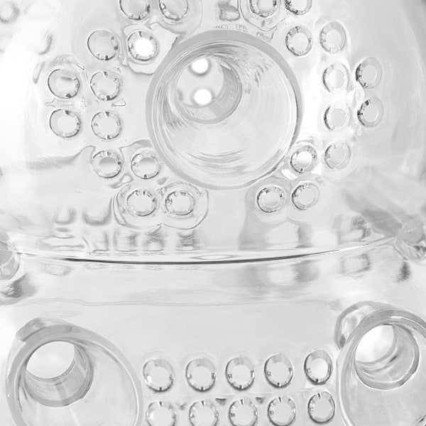 Insektsfälla transparent set om 2