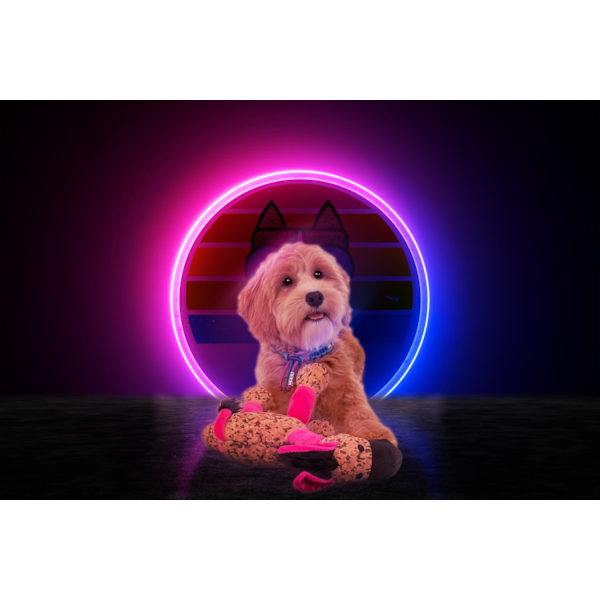 Retrodog Donkey Pink M