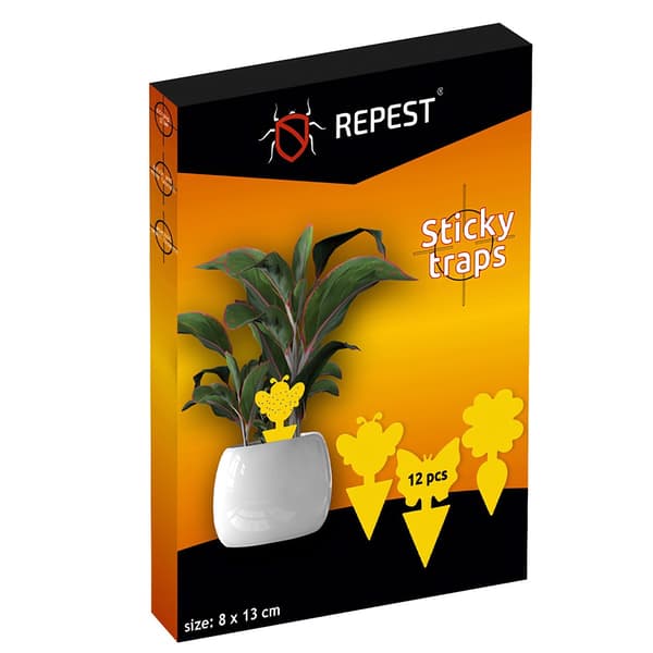 Insektspinne - 12 st. Repetera 19053