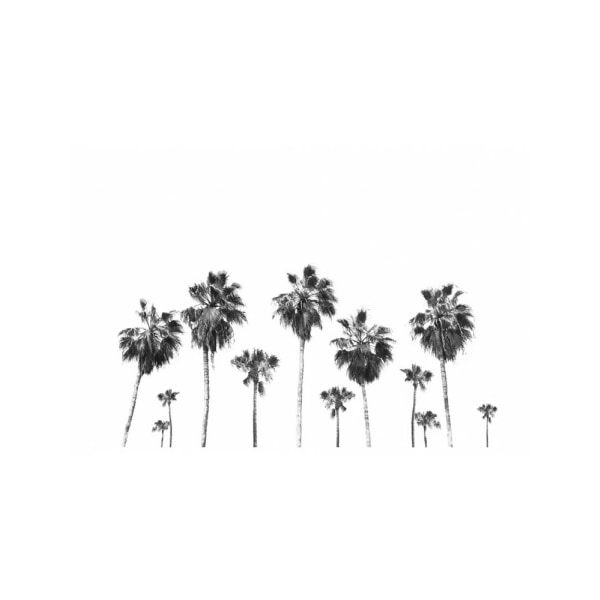 Landscape Of Palms - 70x100 cm