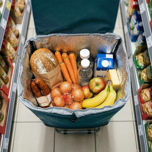 Indkøbsvogn 40L, isoleret, foldbar, turkis