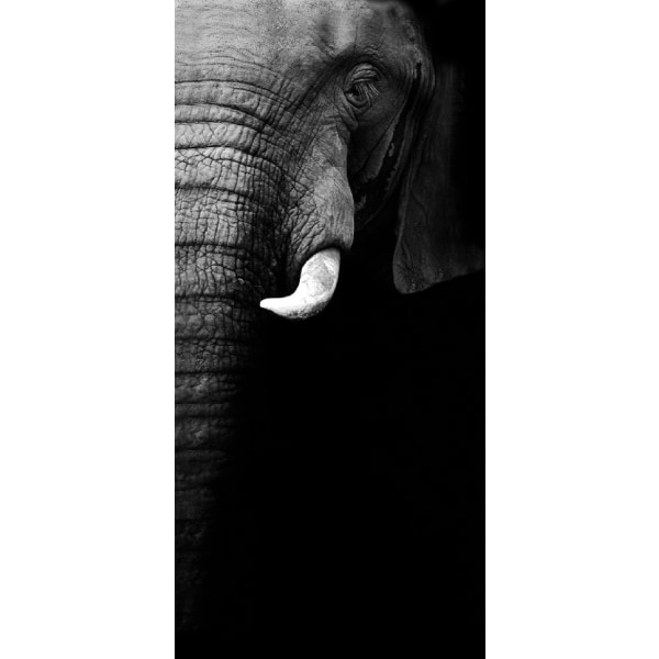 Elephant Portrait - 70x100 cm