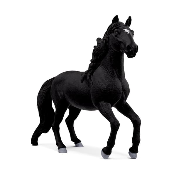 Lusitano hingstfigur – svart med vit stjärna