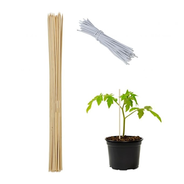 Blomsterpinde 60 cm i sæt af 50 stk