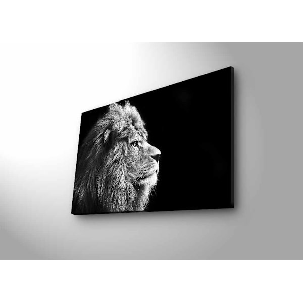 Dekorativ LED-belyst canvasmålning 4570DHDACT-058