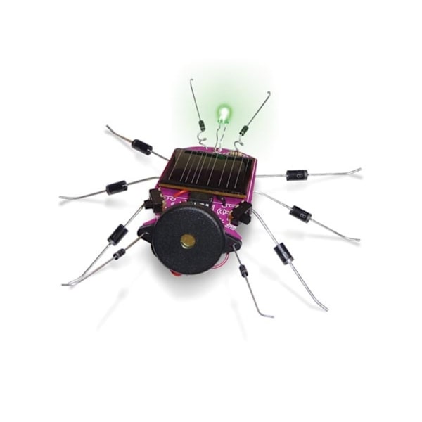 Solar Bug