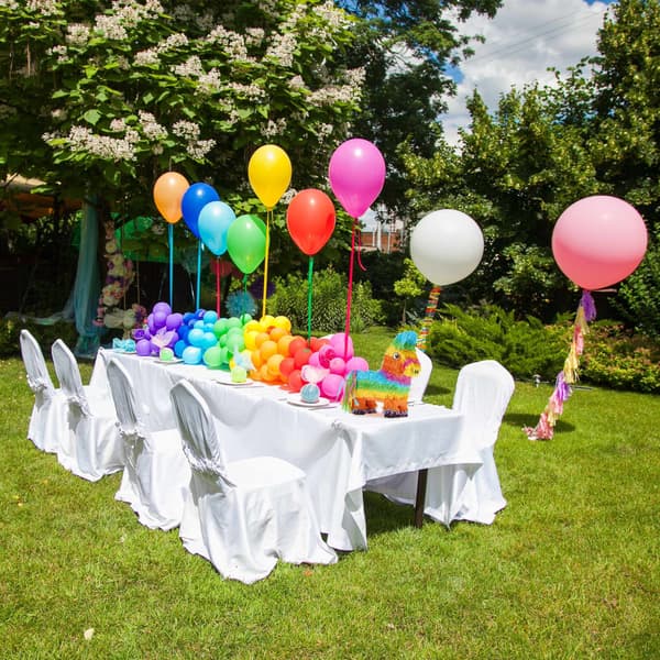 Pinata farverigt æsel