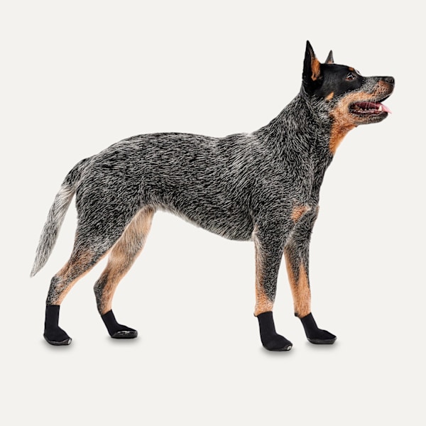 Gooeez Regular Dog Boots (2 kpl) 2XS musta/musta