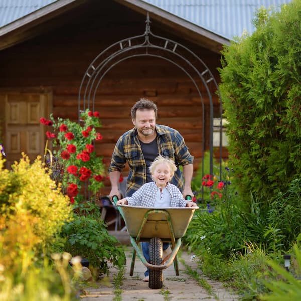 Rose rosett med spets