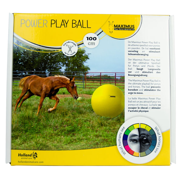Maximus Power Play Ball 100cm