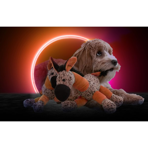 Retrodog Donkey Orange M