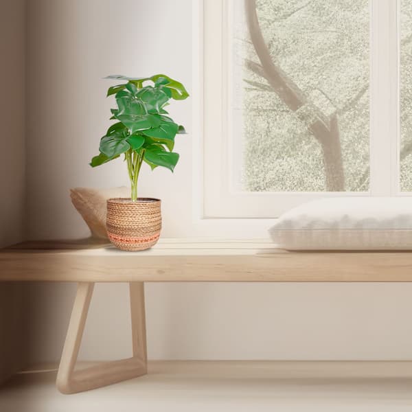 Monstera konstgjorda växtset om 2