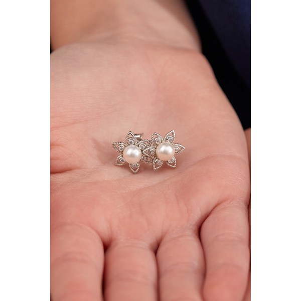 Silverörhänge CTELKYS60056G
