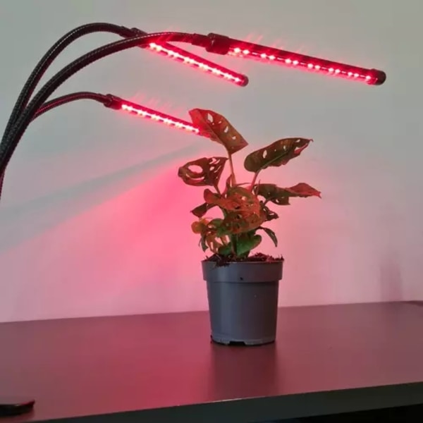 Lampa 20 LED 3st för växttillväxt Gardlov 19242