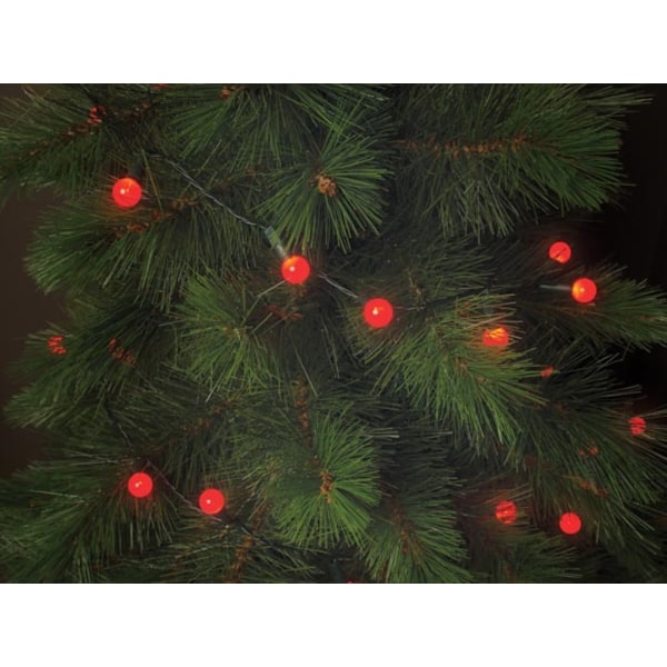 Cherry Light Led - 12 M - 120 røde lamper - Grøn ledning - 24 V