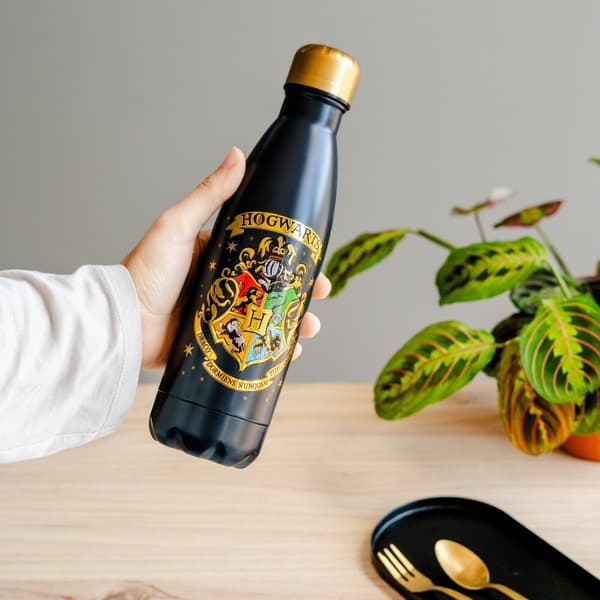Hogwarts vandflaske i rustfrit stål, 500 ml kapacitet