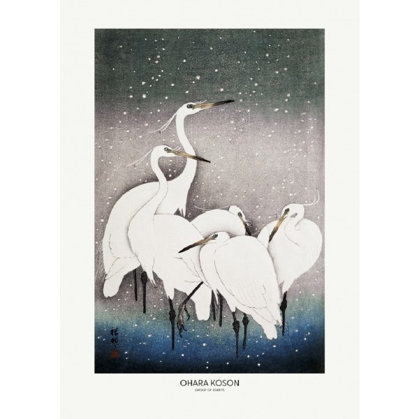 Group Of Egrets - 70x100 cm
