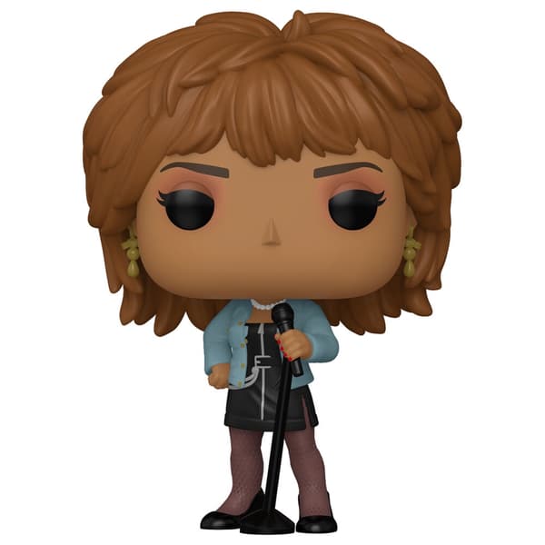 POP-figur Tina Turner
