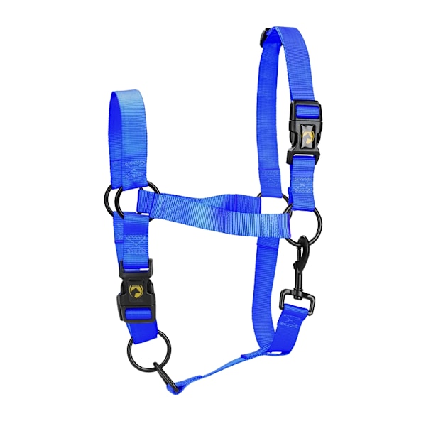 Erinomainen Horse Essential Halter S Foal Blue