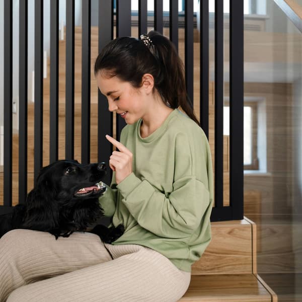 Fristående hundstängsel